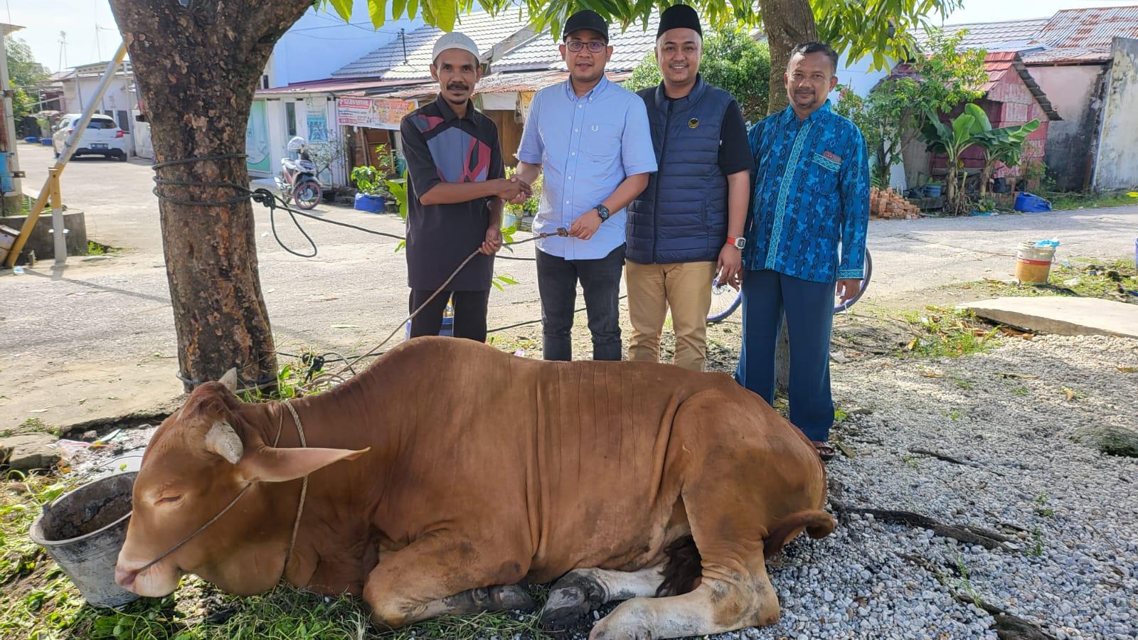 Garda Pemuda Nasdem Serahkan Sapi Qurban Menteri LHK ke Warga